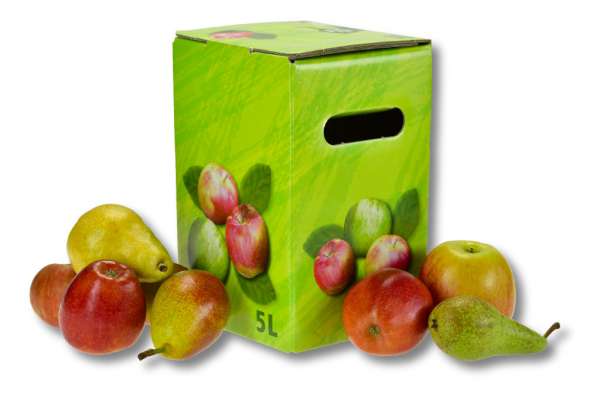 Bag in Box Karton Motiv Äpfel